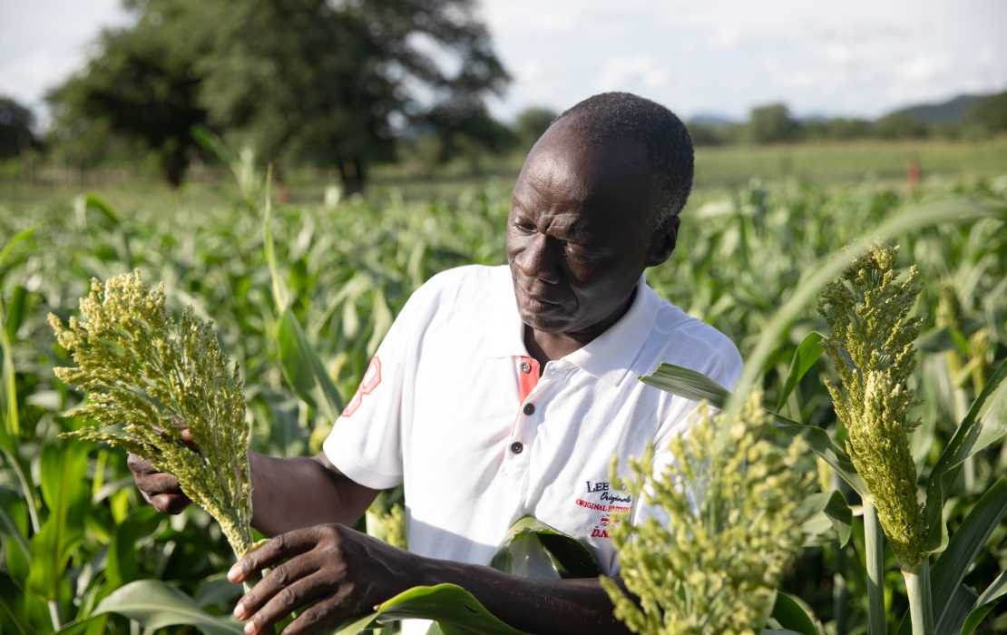 Climate change is forcing smallholder farmers to seek new solutions