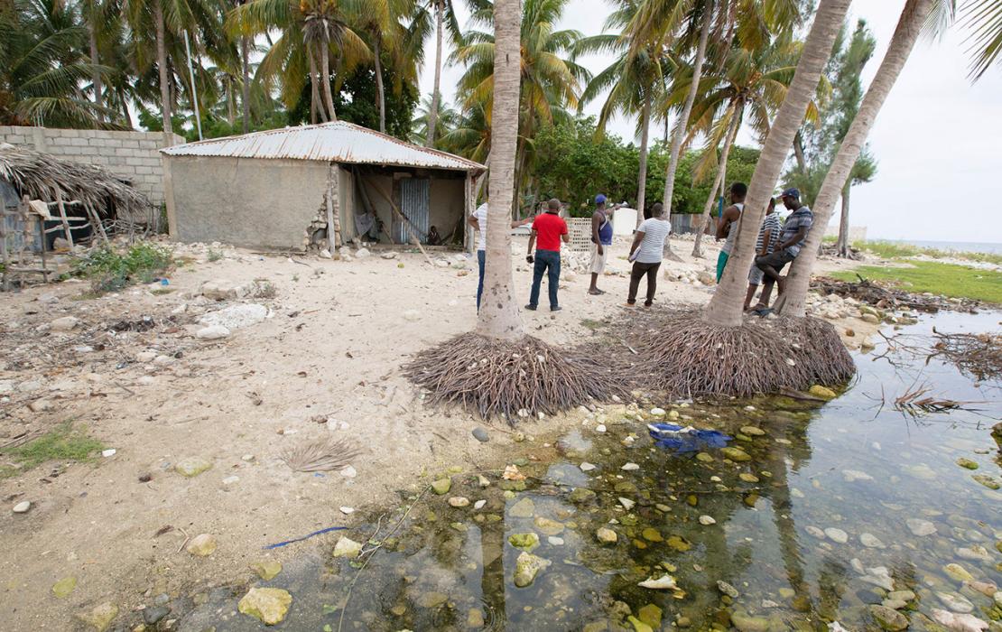 Small group of people stand by palm trees near coastline, with stagnant water left by coastal flooding.