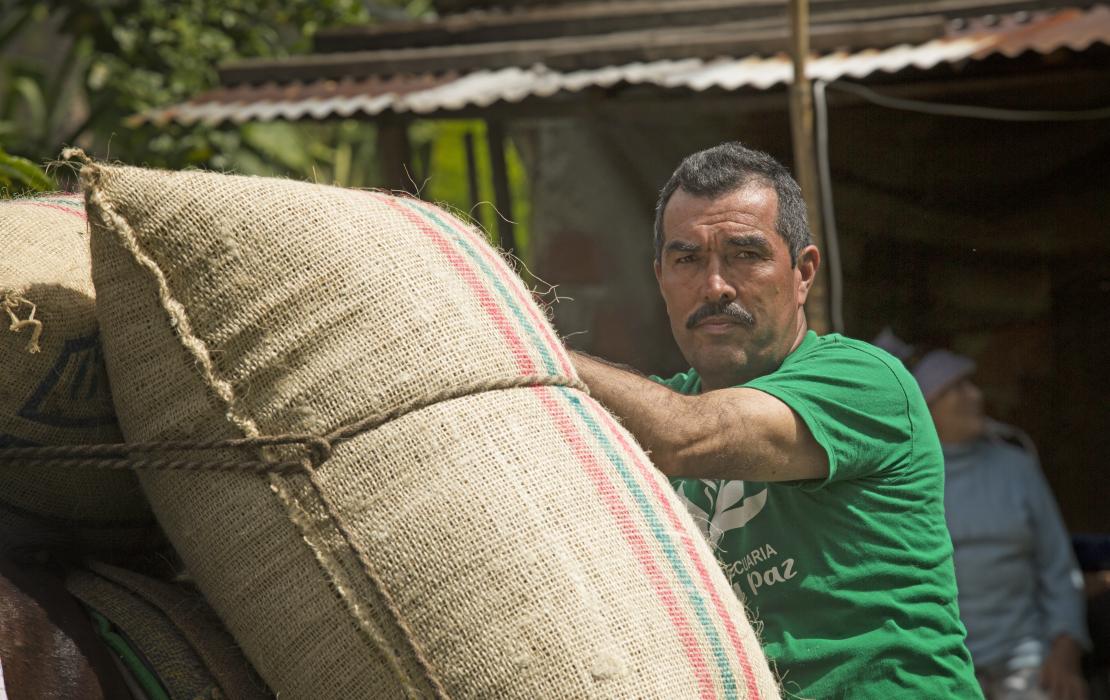 Hombre cargando granos de café en Colombia