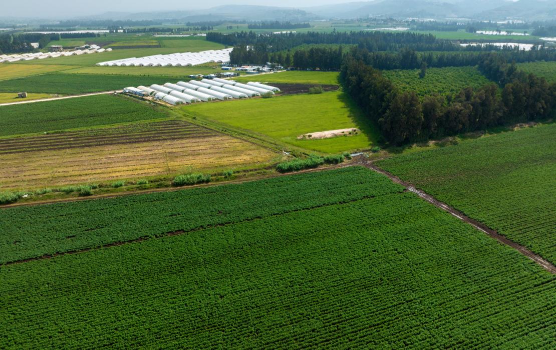 Greenhouses in Lebanon