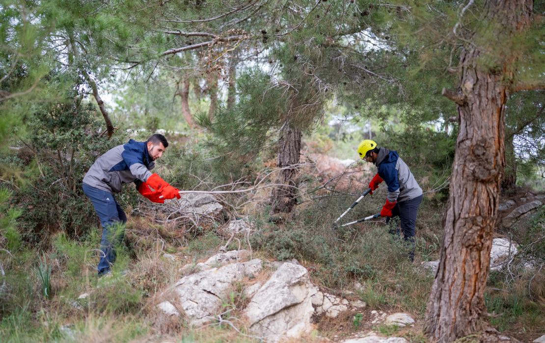 Land management in Lebanon