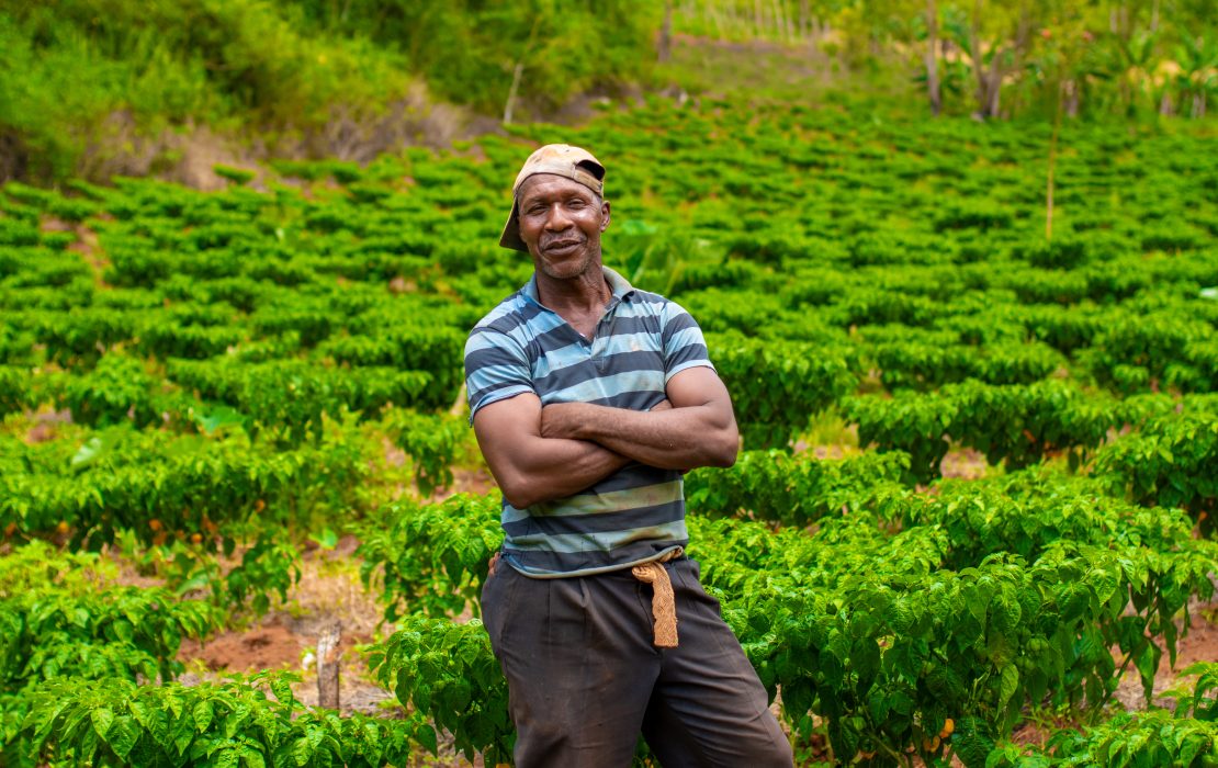 Tourism, combined with agriculture and fisheries, is a cornerstone of Jamaica's economy. But as climate change intensifies, Jamaicans are seeing their livelihoods threatened. jamaica