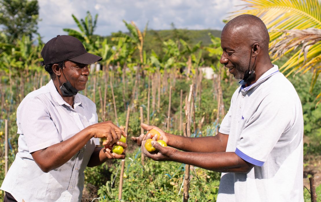 Two farmers in Jamaica