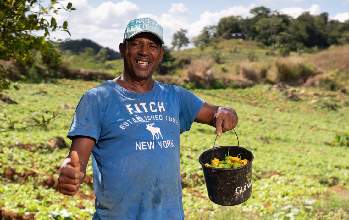 A green growth approach can increase household income, alleviate poverty and put the economy on a higher and diversified growth path. Man in a farm holding a bucket with harvest