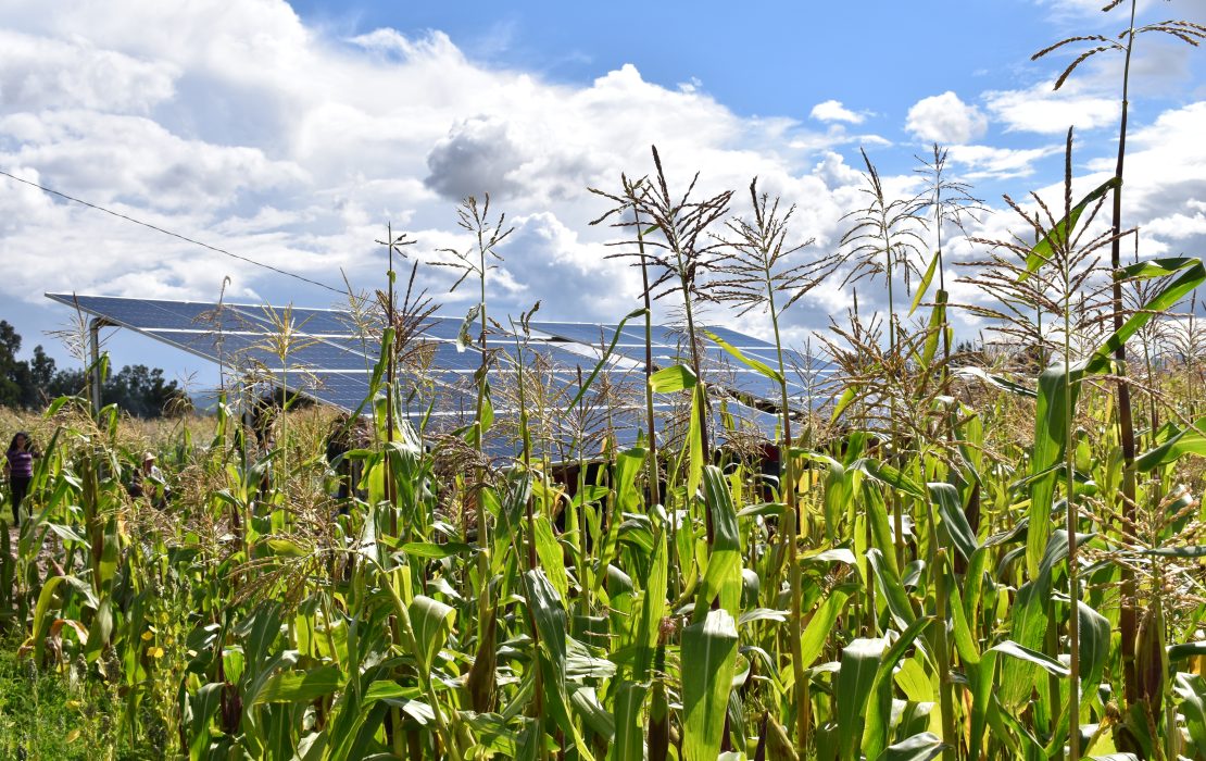 Solar panels in the middle of a crop field in Bolivia