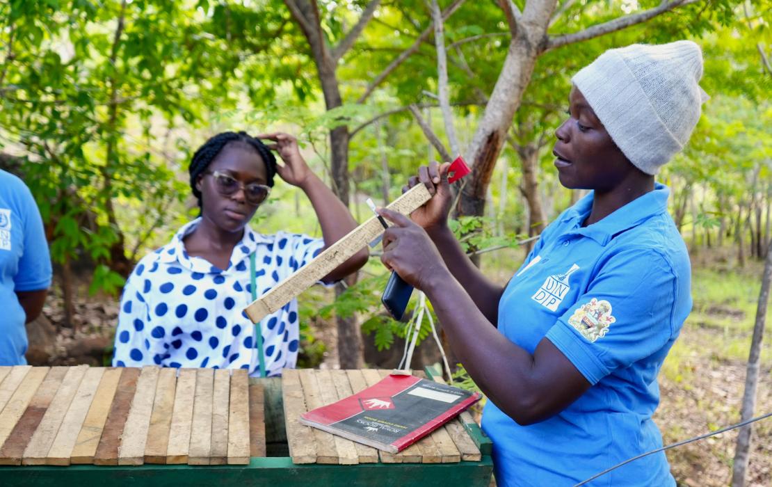 A woman making a demonstration on how to manage a beehive.