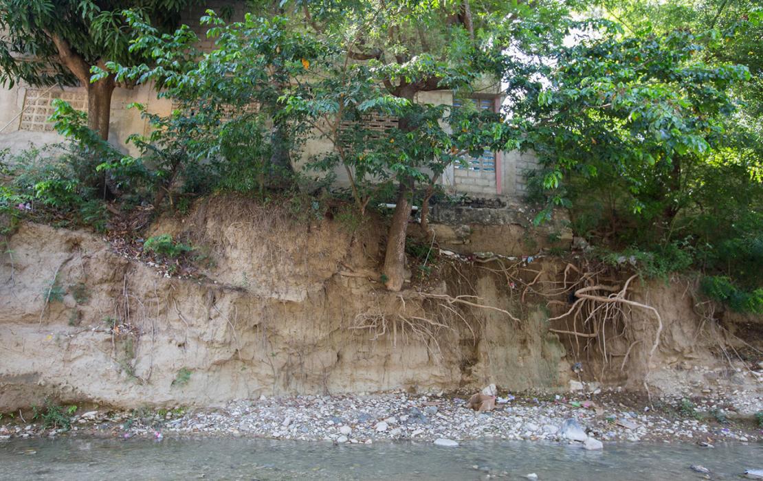 Erosion of land with roots visible.