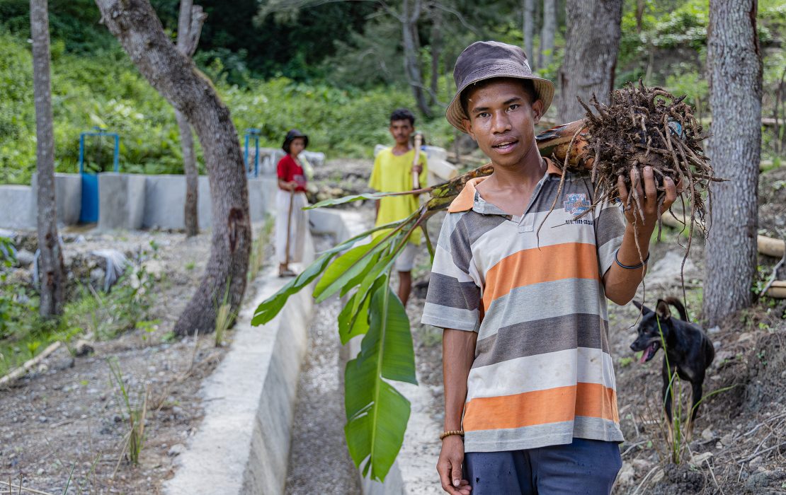 A farmer carries seedlings beside an irrigation channel with flowing water in rural Timor-Leste