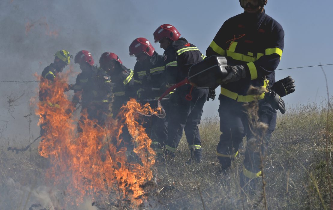 Group of Georgian firefighters in protective gear and helmets putting out wildfire flames in a dry grassy field, emergency response and fire safety teamwork.