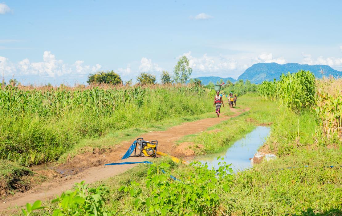 Irrigation comes to the field. Photo: UNDP Malawi