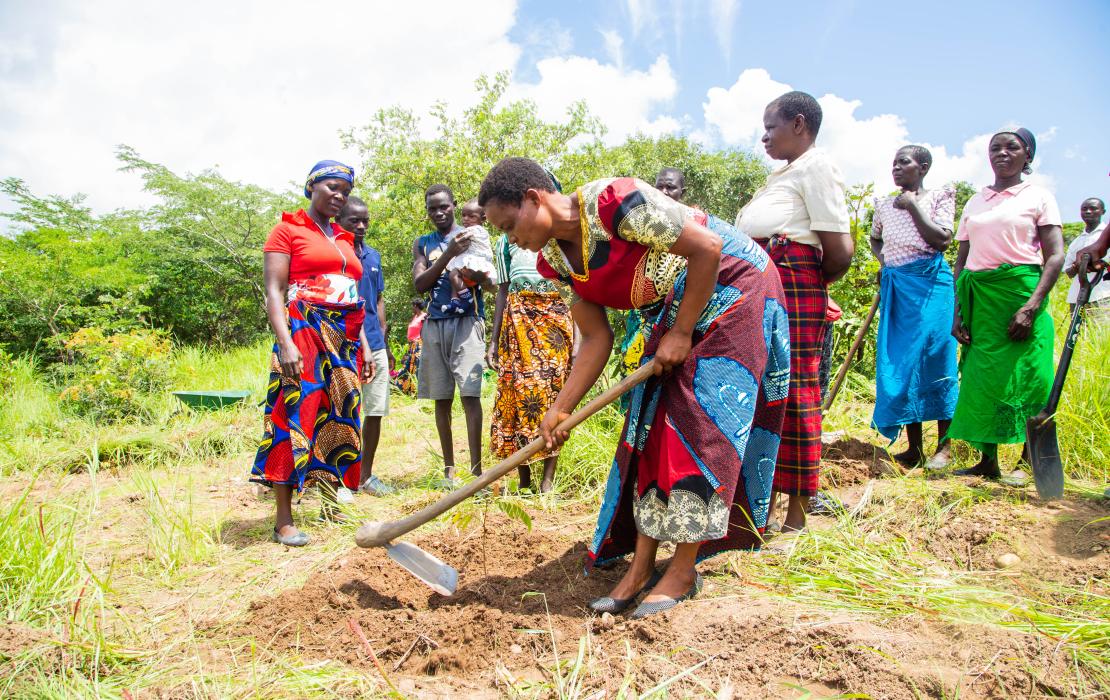 A group of women planting a tree