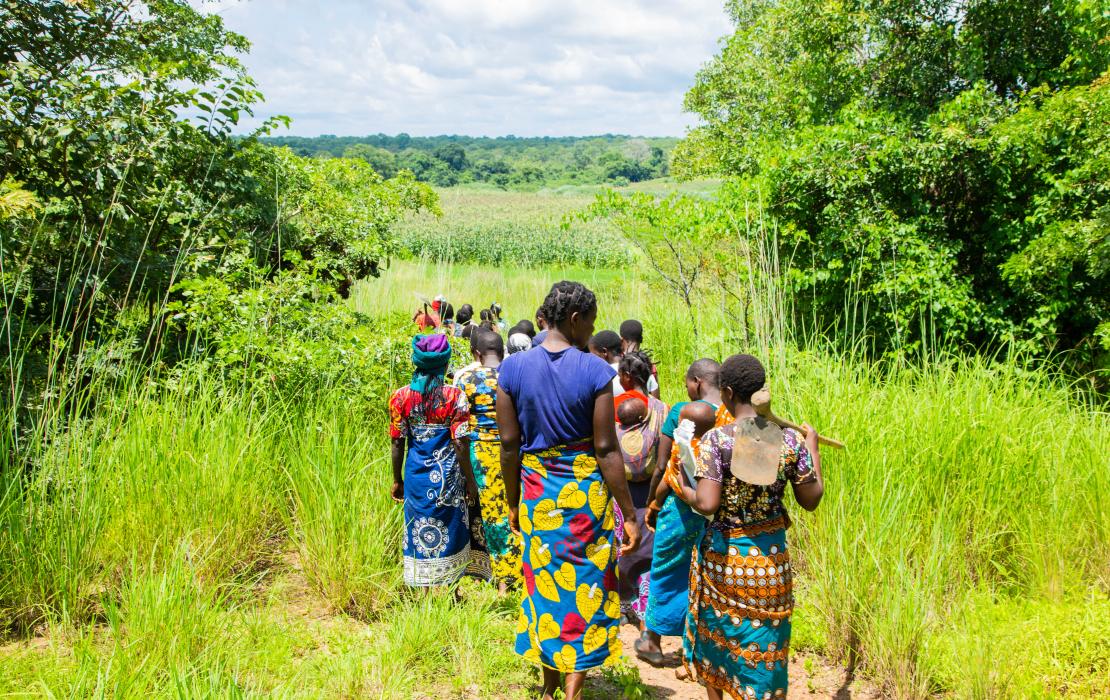A group of women walking to their fields in Malawi