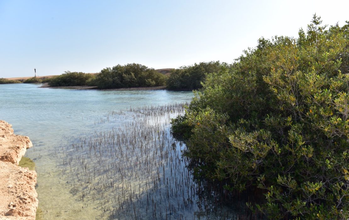 Clean water in Sharm El Sheikh