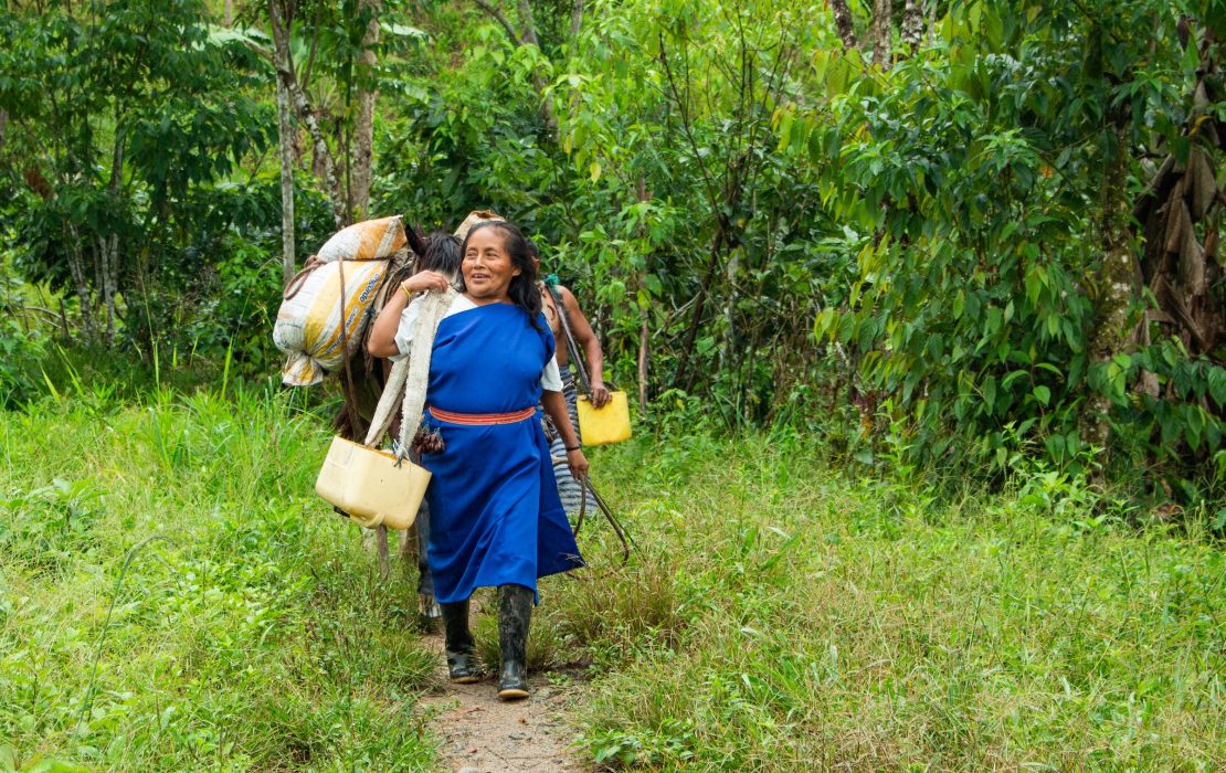 In Ecuador, results-based payments are restoring degraded forest lands and promoting sustainable, deforestation-free production systems – demonstrating how climate finance can drive both conservation and resilient livelihoods. Photo: PROAmazonia In Ecuador, results-based payments are restoring degraded forest lands and promoting sustainable, deforestation-free production systems