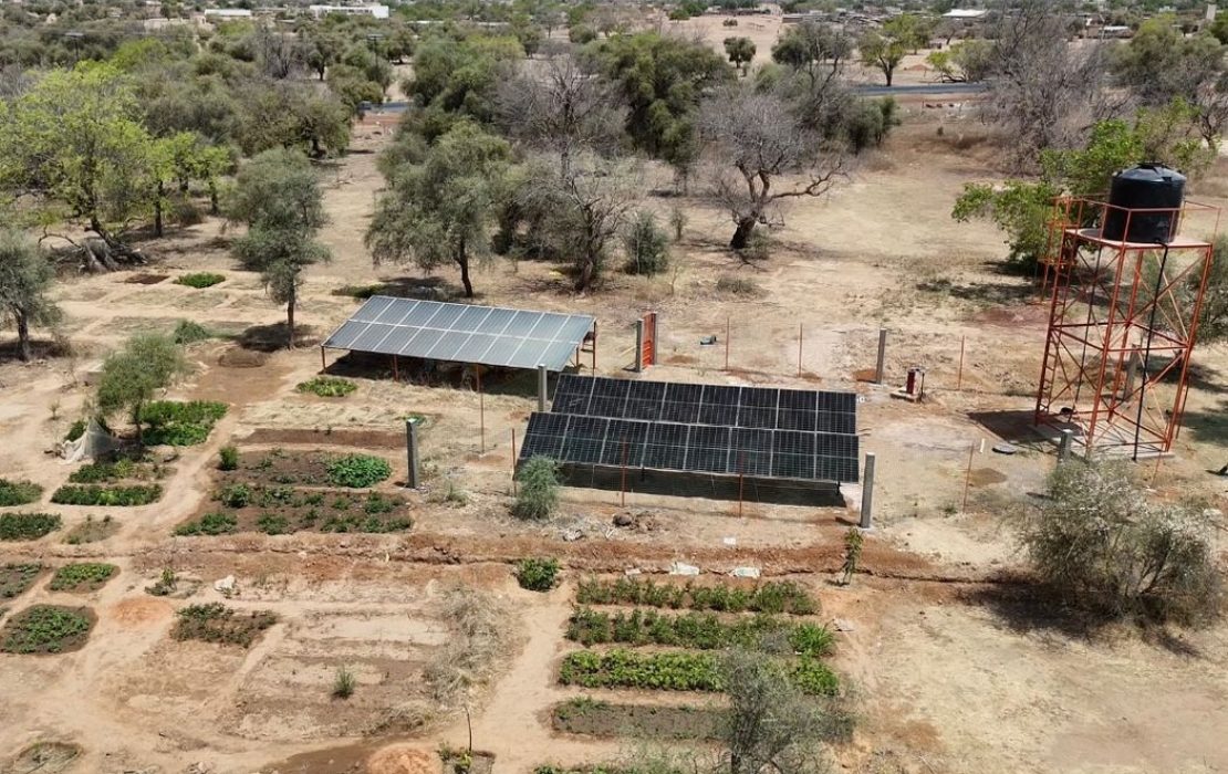 In Senegal’s Ferlo and Plateau of Thies regions, restoration efforts are helping reverse land degradation. Photo: UNDP Senegal In Senegal’s Ferlo and Plateau of Thies regions, restoration efforts are helping reverse land degradation