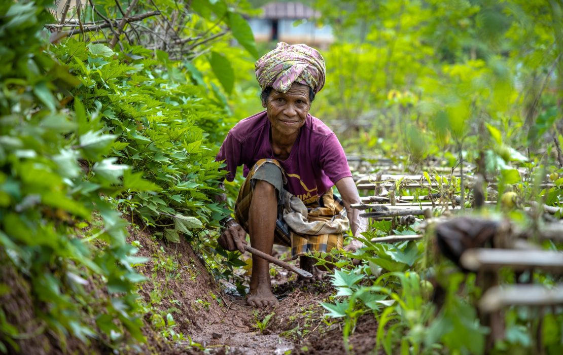 In many fragile contexts, women fetch water, tend to farms and hold households together during crises. Photo: UNDP Timor-Leste / GCF In many fragile contexts, women fetch water, tend to farms and hold households together during crises.