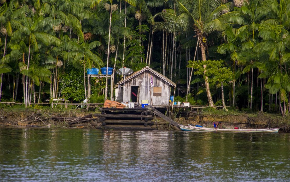 In the heart of the Amazon, Brazil’s Floresta+ programme supports Indigenous Peoples, traditional communities and smallholder farmers by linking financial rewards to proven environmental stewardship. Photo: Dheimison Logan In the heart of the Amazon, Brazil’s Floresta+ programme supports Indigenous Peoples, traditional communities and smallholder farmers by linking financial rewards to proven environmental stewardship.