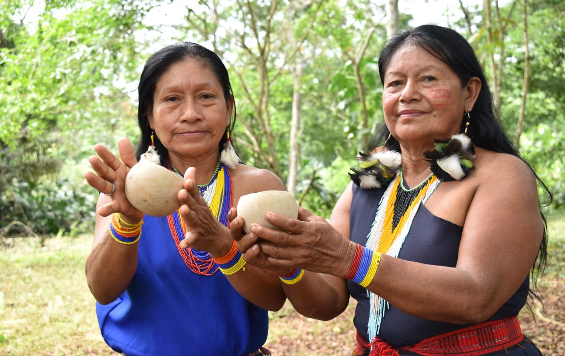 Indigenous women producing cacao in Ecuador