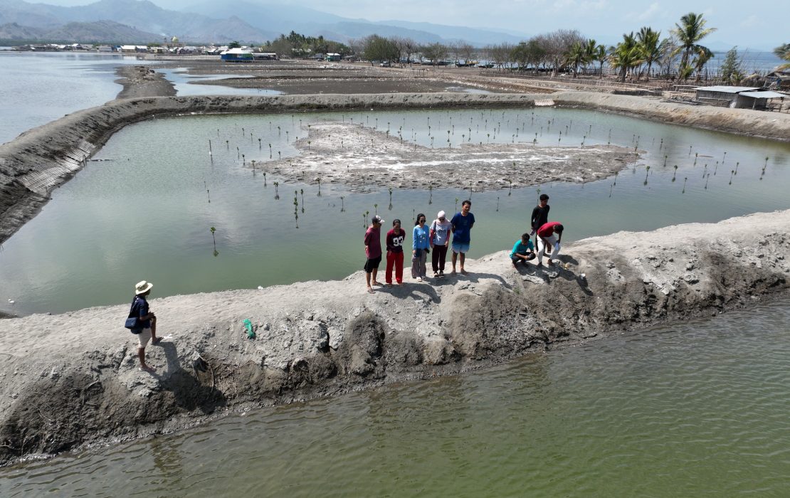 Vista aérea de una silvoacuicultura supervisada por personas en Labuhan Bajo, Indonesia.
