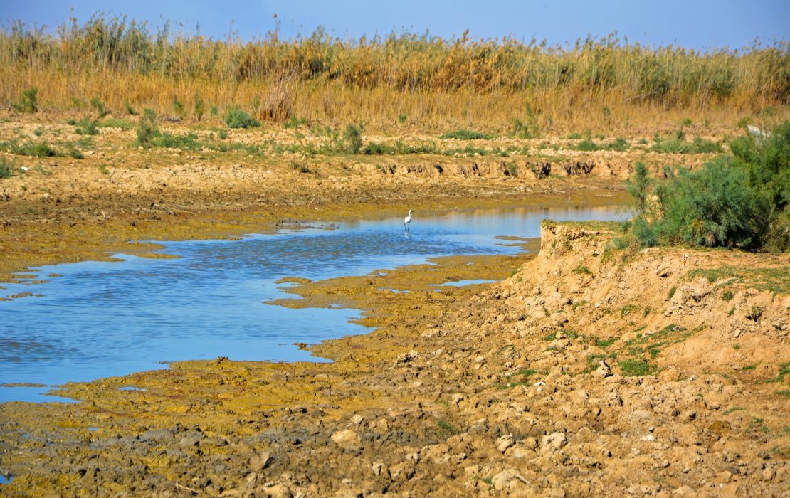 Iraq’s southern marshlands were drained during decades of conflict, leaving communities impoverished. Photo: UNDP Iraq Iraq’s southern marshlands were drained during decades of conflict, leaving communities impoverished