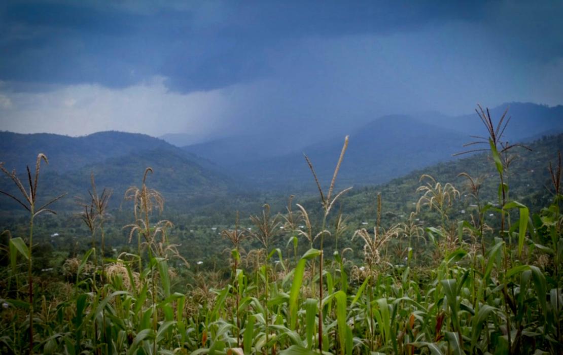 Landscape in Uganda. Photo: UNDP/Luke McPake Landscape in Uganda.