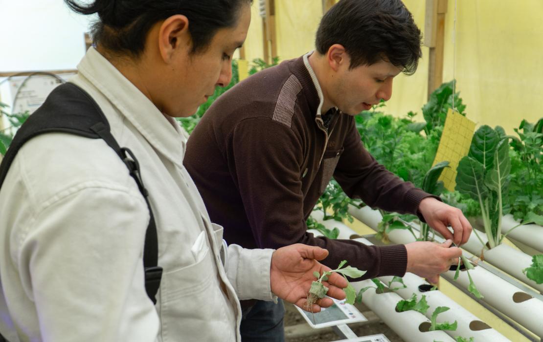 Luis Guillermo Mallea Morales from Propacha and Felix Angulo Zubieta from Cruz Verde tending to the hydroponic garden at a school in La Paz
