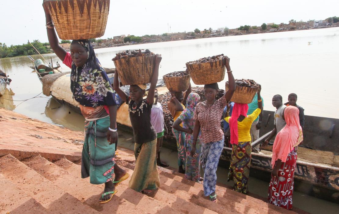 Mujeres cargando pescados en Mali