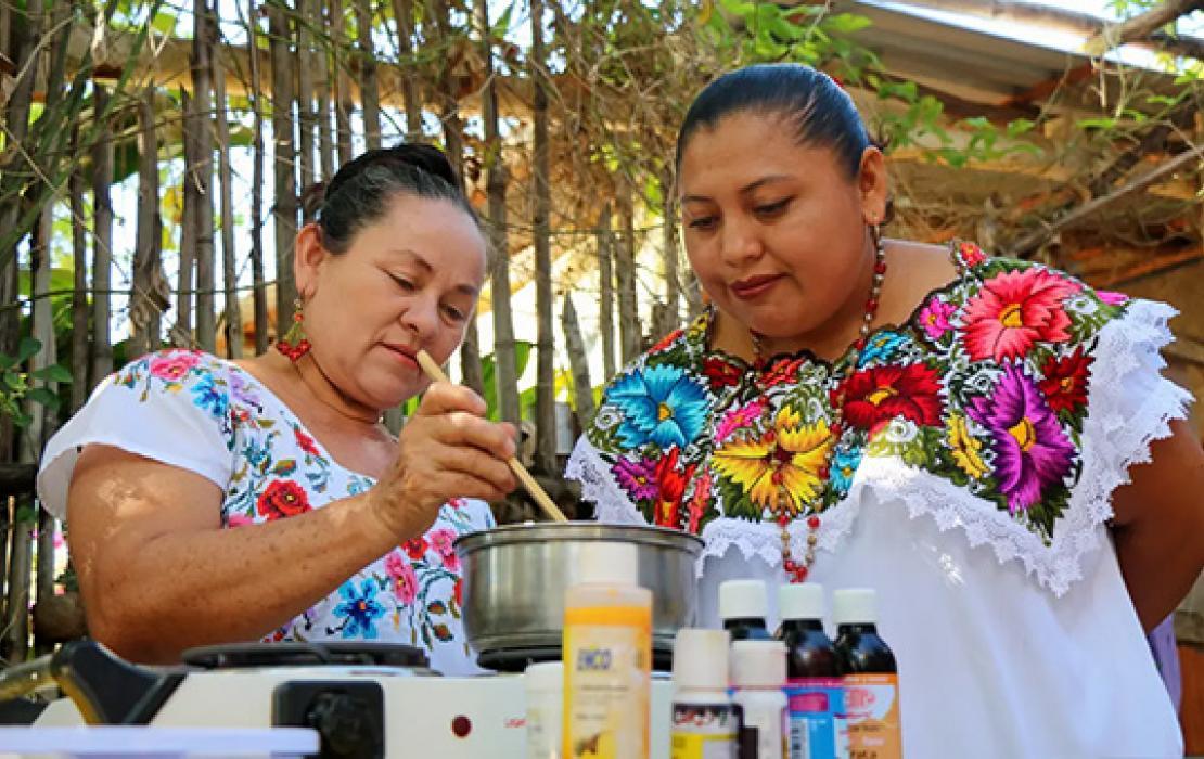 Les pratiques apicoles traditionnelles du Yucatán, au Mexique, favorisent une utilisation durable des terres. Et comme leur moyen d’existence dépend de la santé de ces écosystèmes, les apiculteurs deviennent des défenseurs de la forêt. Photo : PNUD/Roxana Auhagen