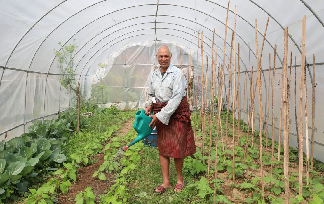 Farmers in Bhutan use native vegetation and ecosystem-based greenhouse designs to protect crops, conserve water, and adapt to a changing climate. Photo: UNDP Bhutan/Phuntsho Namgay Farmers in Bhutan use native vegetation and ecosystem-based greenhouse designs to protect crops, conserve water, and adapt to a changing climate. Photo credit: UNDP Bhutan/Phuntsho Namgay