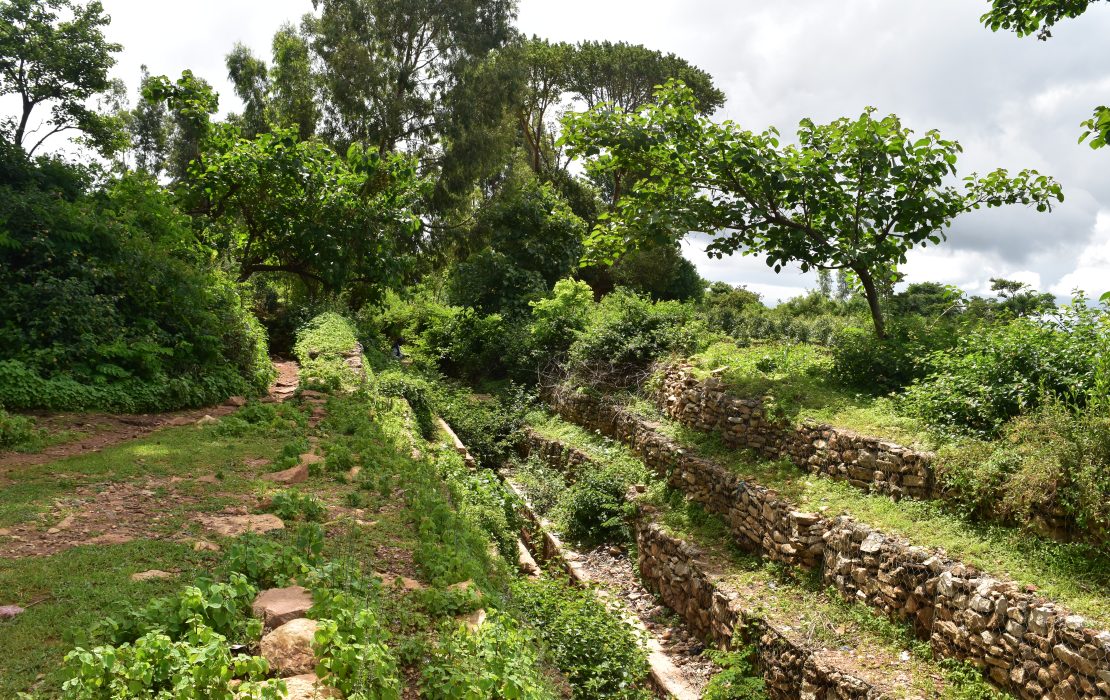 An irrigation canal in Sofi Kebele, Lugo micro-watershed supports integrated watershed management efforts to conserve water, improve soil quality, and boost community resilience in Ethiopia. Photo: UNDP Ethiopia/Edom Berehanu An irrigation canal in Sofi Kebele, Lugo micro-watershed supports integrated watershed management efforts to conserve water, improve soil quality, and boost community resilience in Ethiopia. Photo credit: UNDP Ethiopia/Edom Berehanu