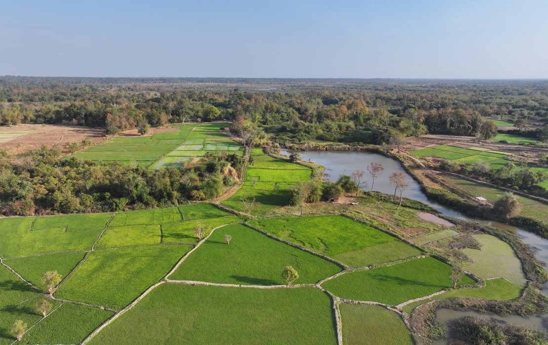 Retention ponds constructed through the Integrated Water Resource Management and EbA project store excess rainwater, reduce flood risks, and provide a reliable water source for farming during dry periods. Photo: UNDP Lao PDR Retention ponds constructed through the Integrated Water Resource Management and EbA project store excess rainwater, reduce flood risks, and provide a reliable water source for farming during dry periods. Photo credit: UNDP Lao PDR