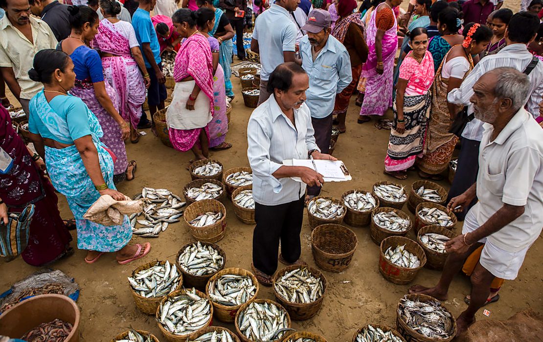 Photo: Prashanth Vishwanathan/UNDP India A bustling fish market with people in colorful clothing gathered around baskets filled with fresh fish, negotiating and recording sales.