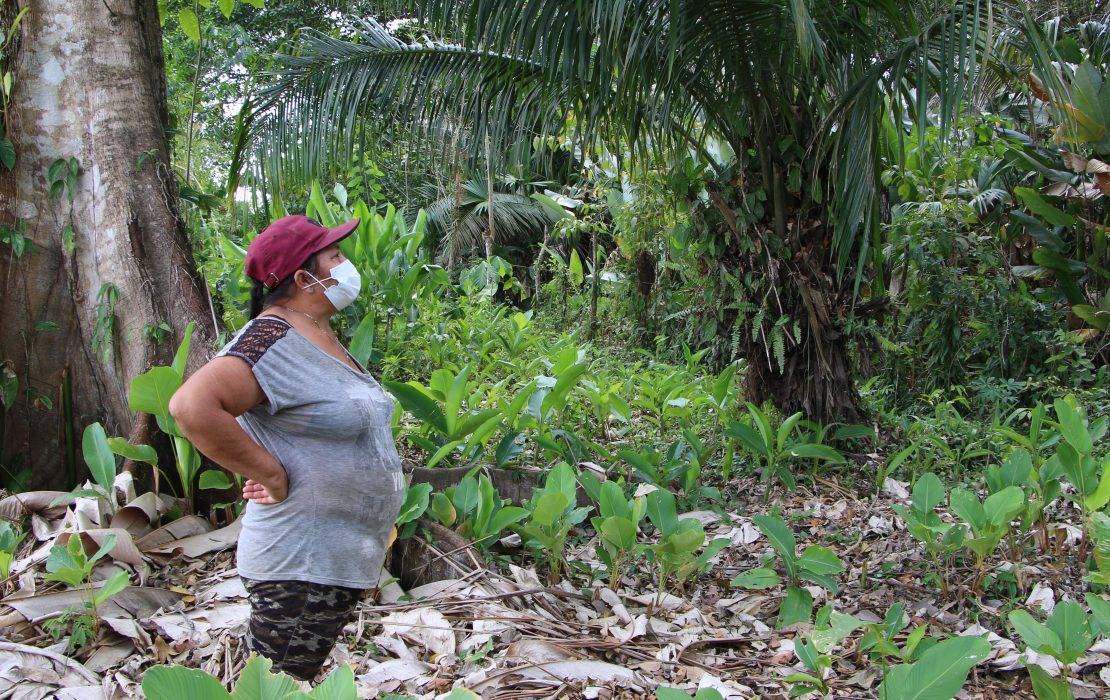 Mujer en un bosque