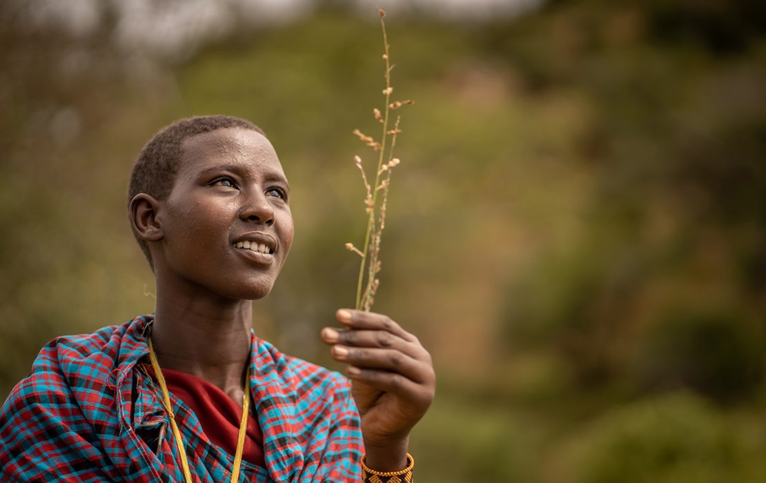 A young Maasai woman in traditional clothing holds up a plant stem while collecting seeds in a conservation effort in Loiborsiret, Tanzania.