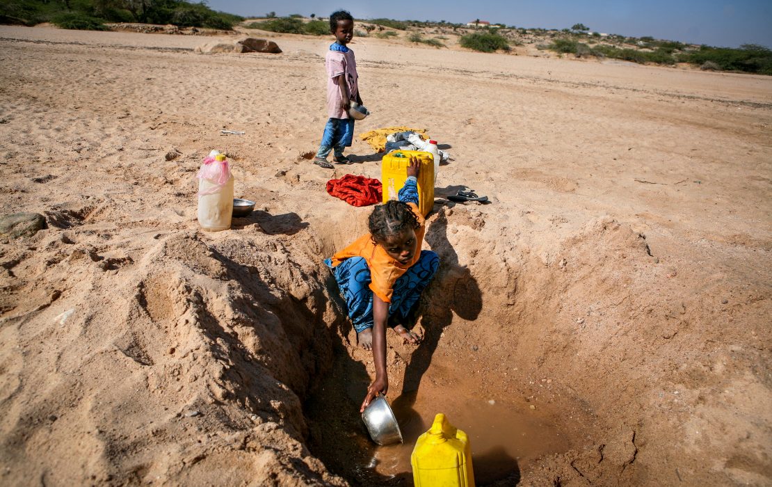 Thousands of pastoralists and their families have immigrated to Banderbayla district in Karkar region in Somalia to be closer to a dam for access to water due to prolonged drought