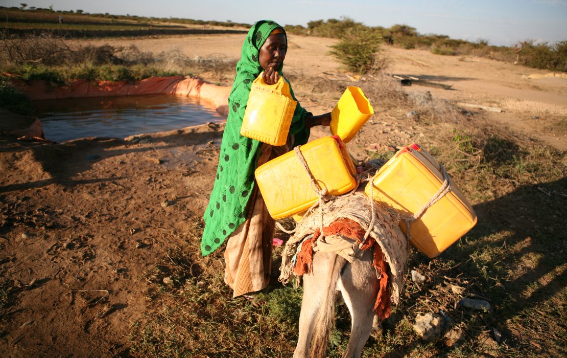 Woman fetches water from a barkat, west of Hargeisa in Somalia