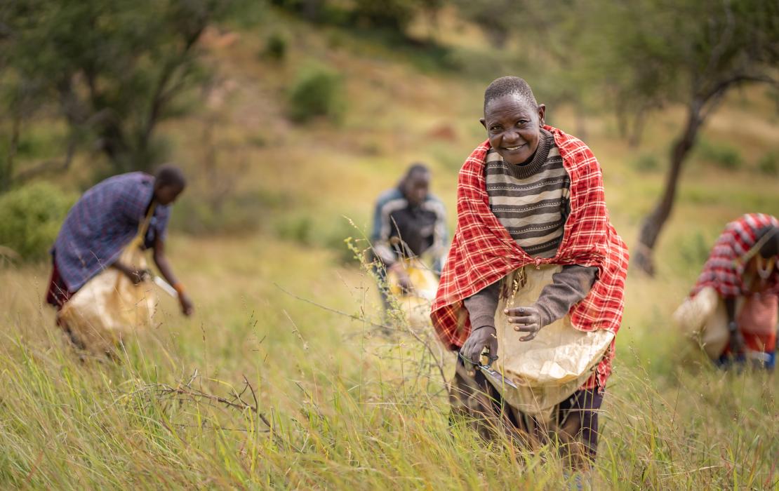 Foto: PNUD Tanzania / Phil Kabuje