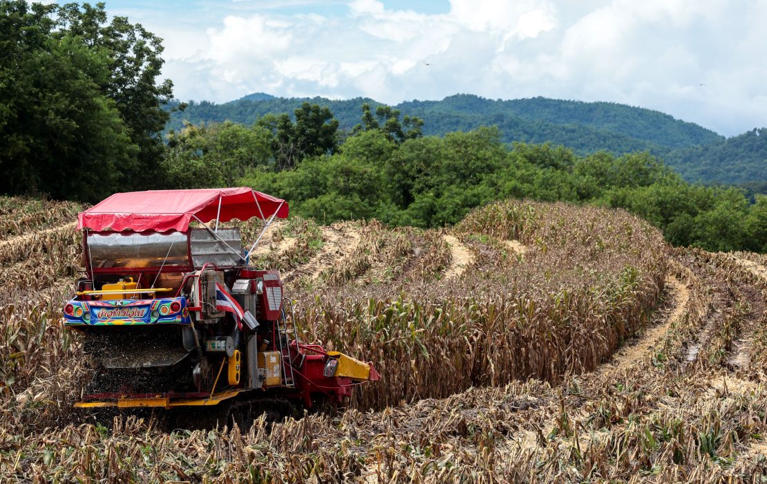 Photo: UNDP Thailand Photo: UNDP Thailand