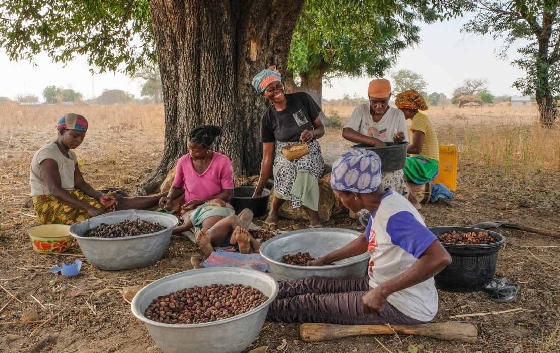 The restoration of Shea parklands helped improve women's lives in Ghana