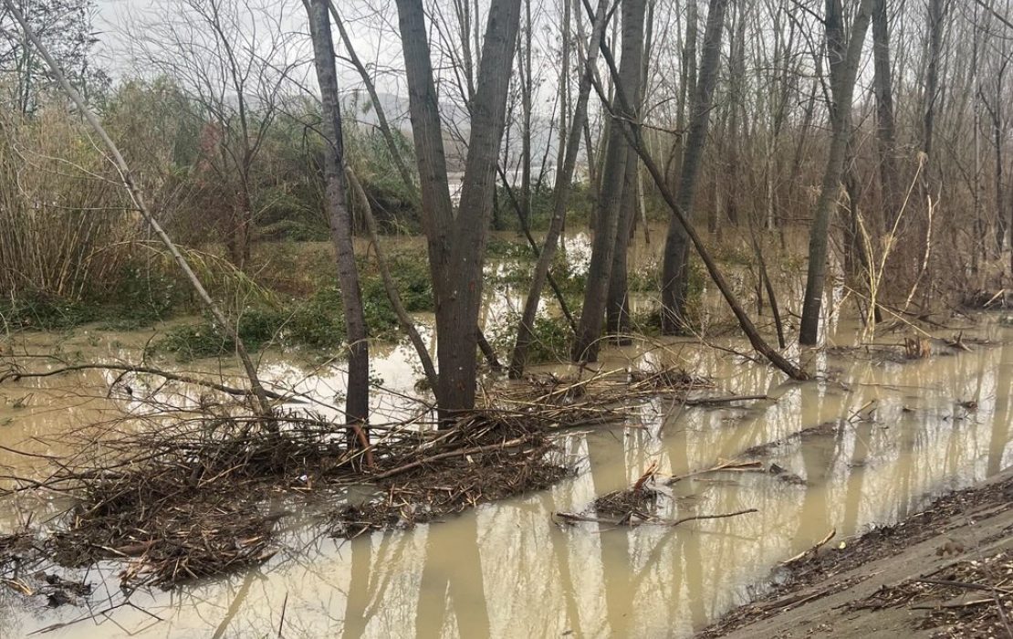 Floodwaters submerge the garden of Robert Tonaj’s nursery. Photo: UNDP Albania text