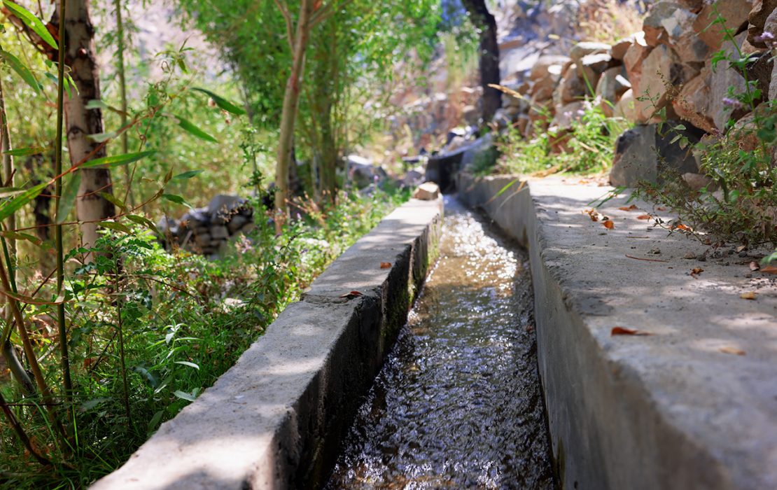 The project has rehabilitated 317 irrigation channels, amounting to more than 132 km in length, in the 24 most climate-vulnerable valleys of Gilgit Baltistan and Khyber Pakhtunkhwa. Photo: UNDP Pakistan A narrow concrete irrigation channel carries clear water through a green, shaded area with trees and plants along the sides.