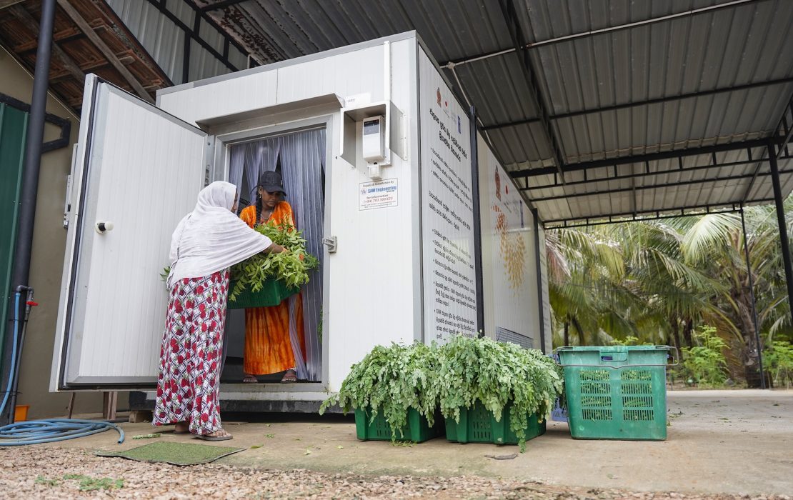 Farmers are using cold storage to prevent food loss and waste in Sri Lanka. Photo: UNDP Sri Lanka Using cold storage to prevent food loss and waste in Sri Lanka