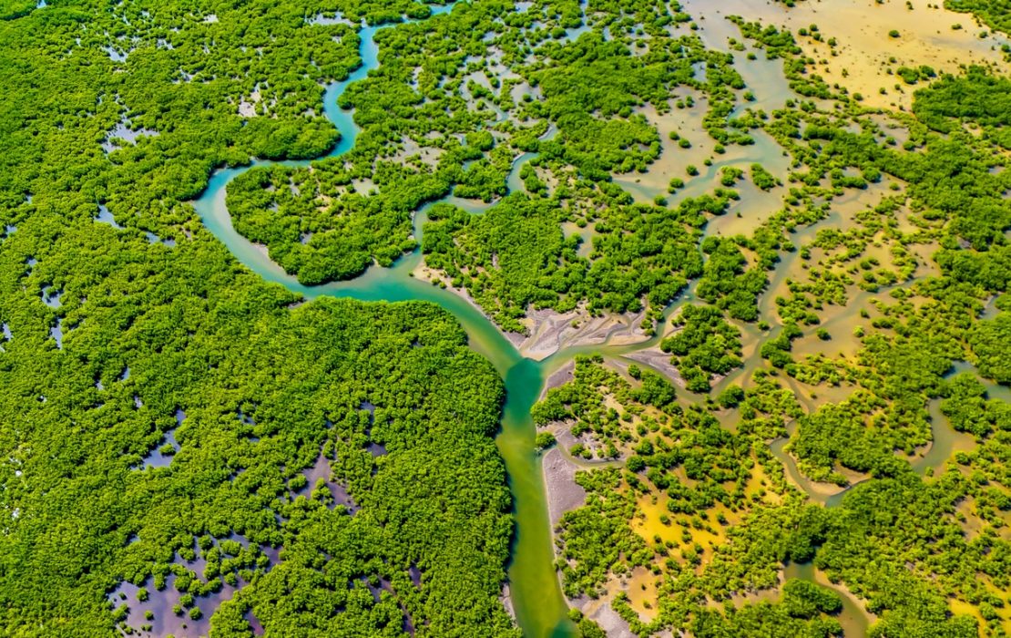 Senegal’s unique ecosystems are increasingly affected by the impacts of climate change. Photo: Ugochukwu Kingsley Ahuchaogu / UNDP WACA Aerial view of lush green mangrove forests and winding waterways in Senegal, illustrating the region’s rich biodiversity and the fragile ecosystems vulnerable to climate change.