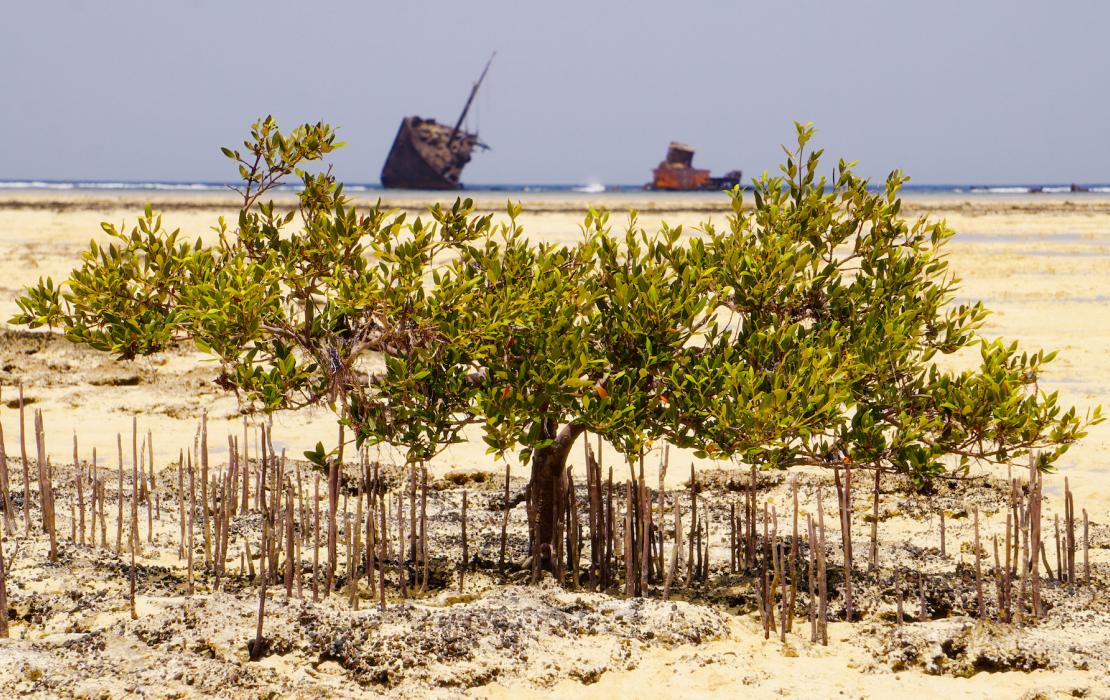 Nabq Protected Area