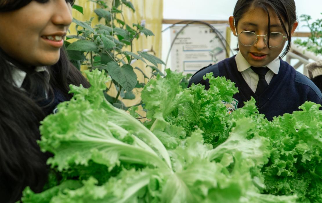 Estudiantes cuidando plantas en un huerto orgánico hidropónico en una escuela de La Paz.