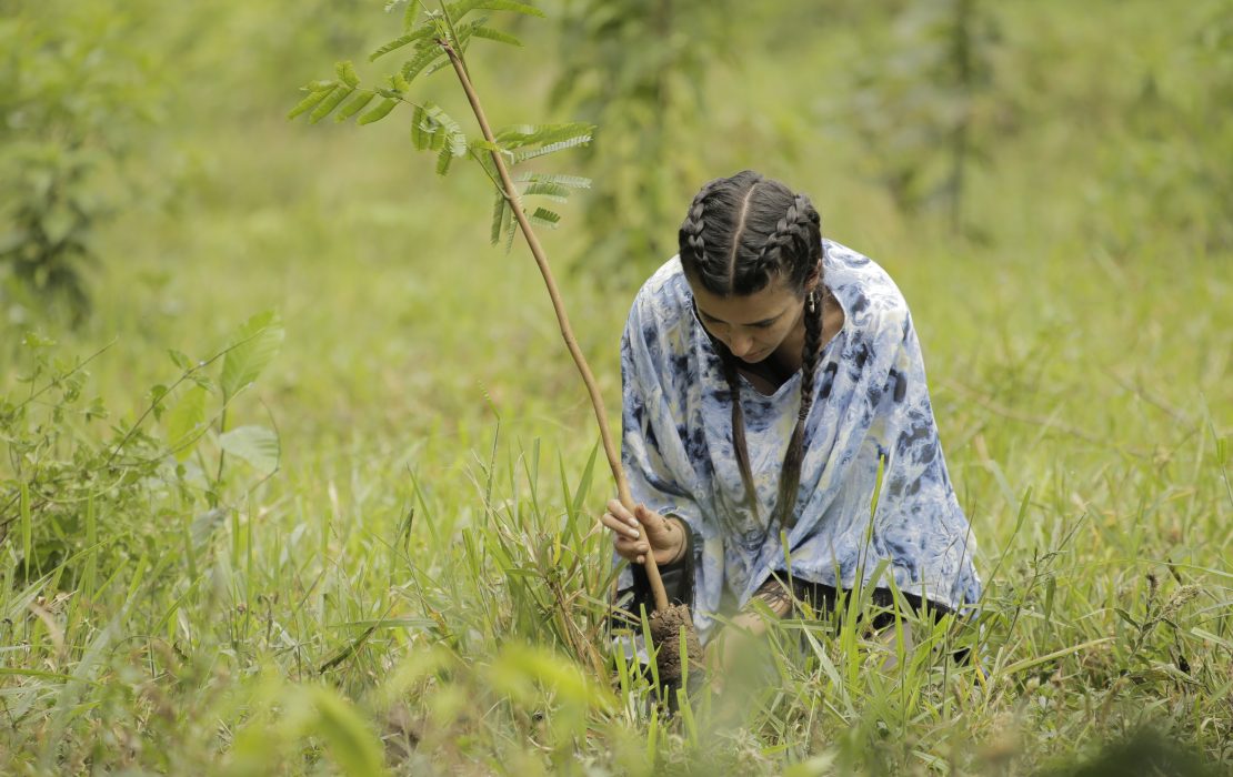 Mujer plantando un árbol