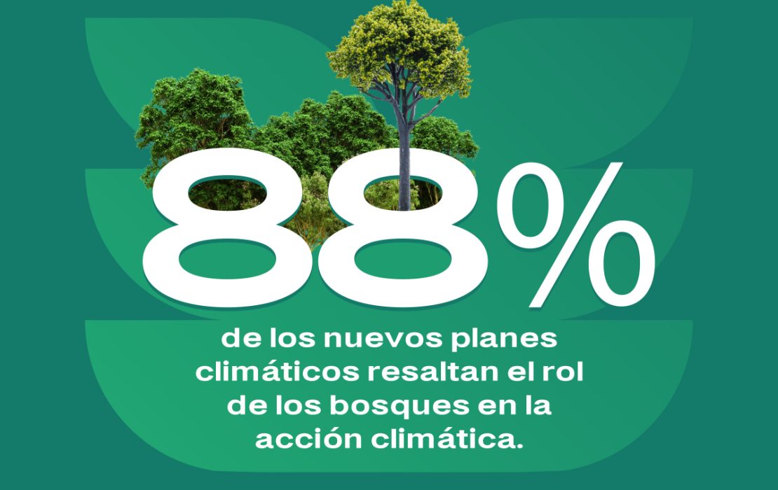 88 % de los nuevos planes climáticos resaltan el rol de los bosques en la acción climática.