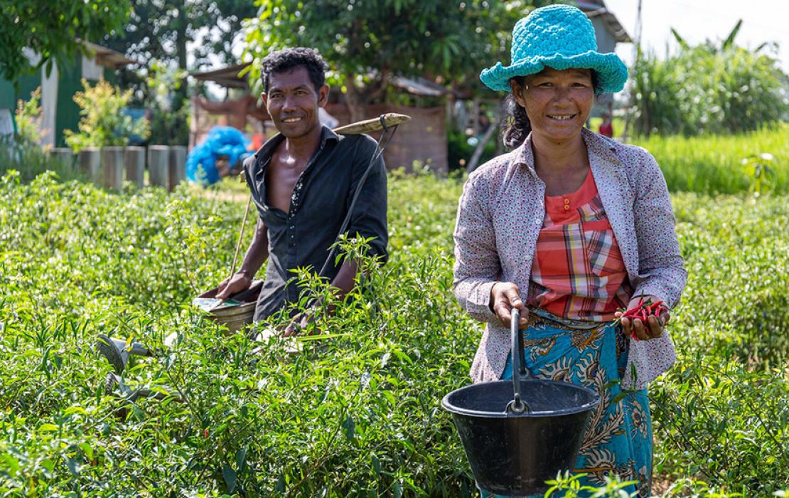 Une agricultrice au Cambodge
