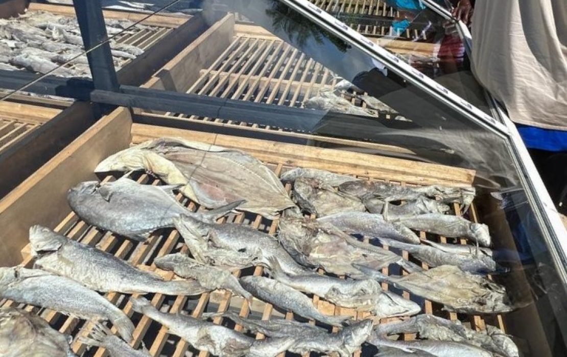 Solar fish dryers speed up the processing of artisanal fisheries products and help increase sales in nearby villages and beyond. Photo: UNDP Senegal Solar dryers now used by women to dry fish from artisanal fisheries allows faster processing anRows of wooden racks covered with glass, filled with dried fish, displayed outdoors under bright sunlight, with several people standing nearby observing them.