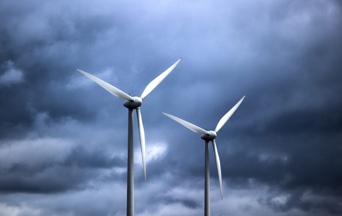 21 companies from Serbia are exploring just green transition solutions